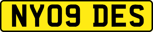 NY09DES