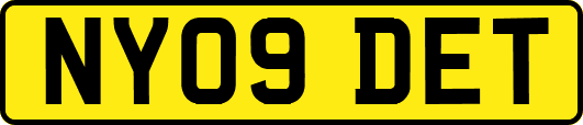 NY09DET