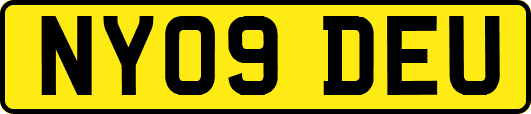 NY09DEU