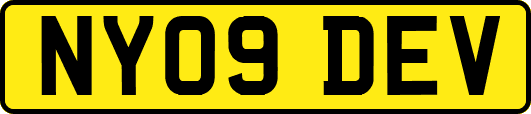 NY09DEV