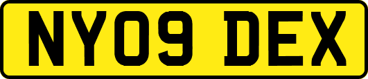 NY09DEX