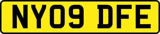 NY09DFE