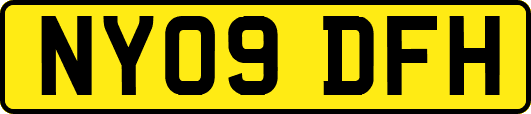 NY09DFH