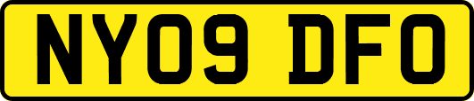 NY09DFO