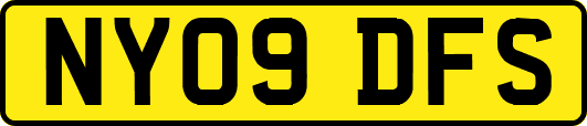 NY09DFS