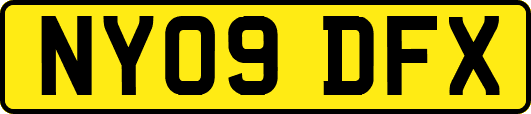 NY09DFX
