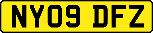 NY09DFZ