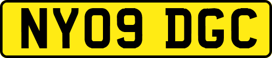 NY09DGC