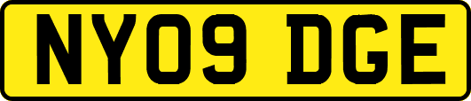 NY09DGE