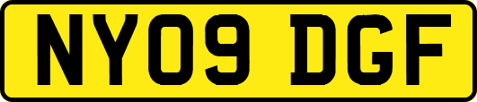 NY09DGF