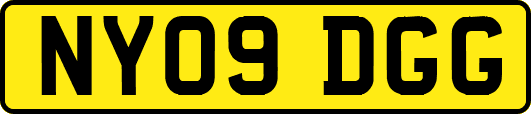NY09DGG
