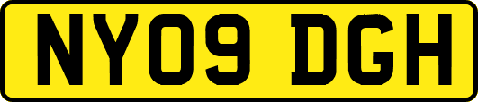 NY09DGH