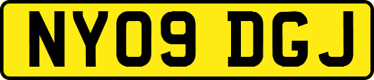 NY09DGJ