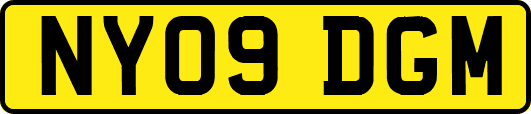 NY09DGM