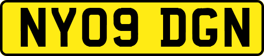 NY09DGN