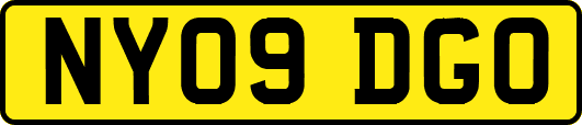 NY09DGO