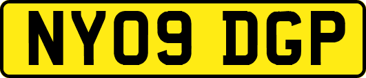 NY09DGP