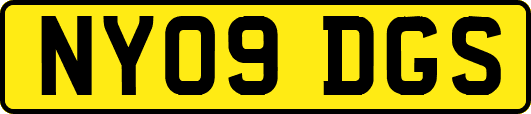 NY09DGS