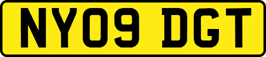 NY09DGT
