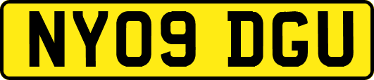 NY09DGU