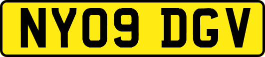 NY09DGV