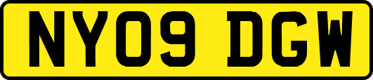 NY09DGW
