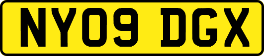 NY09DGX