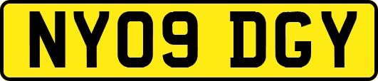 NY09DGY