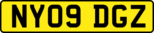 NY09DGZ