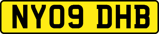 NY09DHB