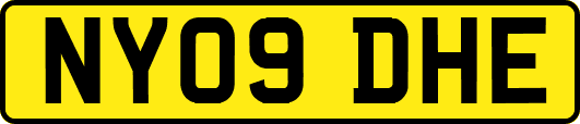 NY09DHE