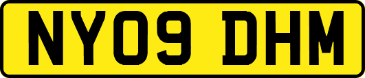 NY09DHM