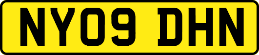NY09DHN