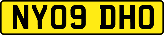 NY09DHO