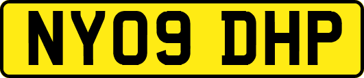 NY09DHP