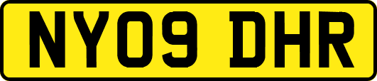 NY09DHR