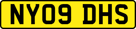 NY09DHS