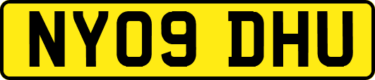 NY09DHU