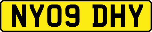NY09DHY