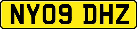 NY09DHZ