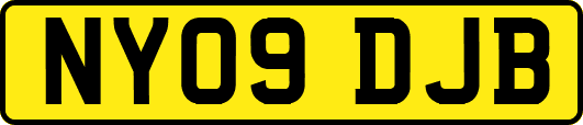 NY09DJB