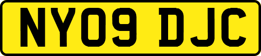 NY09DJC