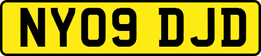 NY09DJD