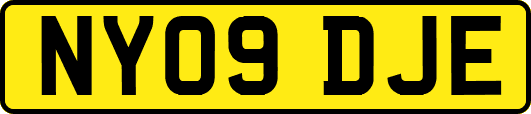NY09DJE
