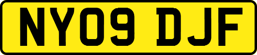 NY09DJF