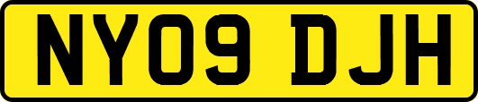 NY09DJH