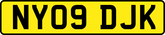 NY09DJK