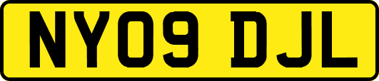 NY09DJL