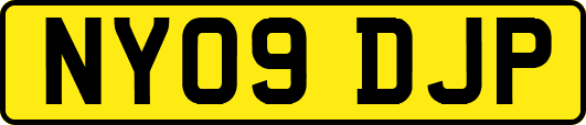 NY09DJP