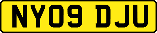 NY09DJU